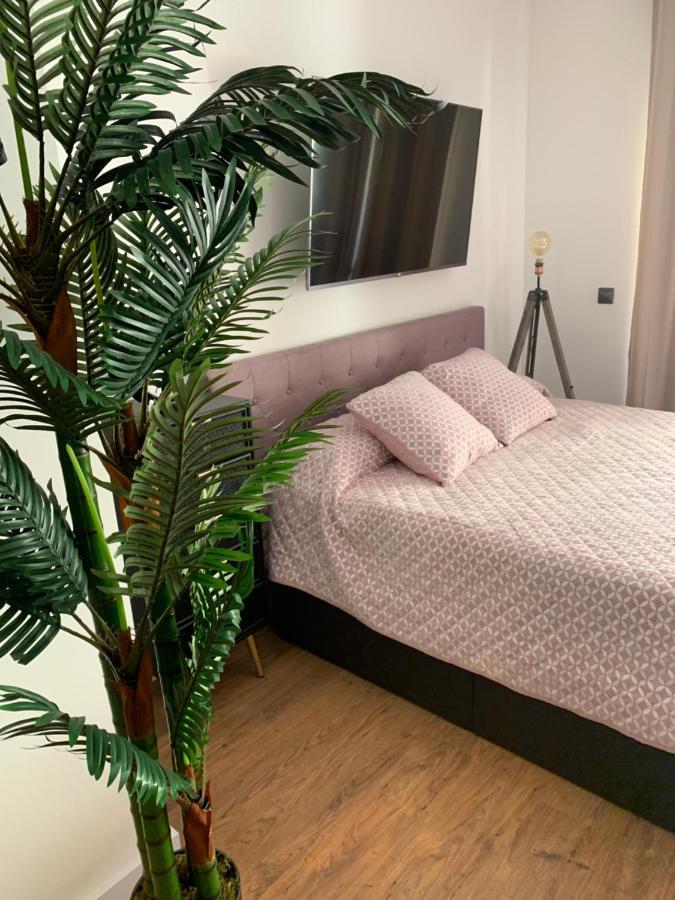 דירות Vícar Loft De Lujo Con Piscina La Envia מראה חיצוני תמונה
